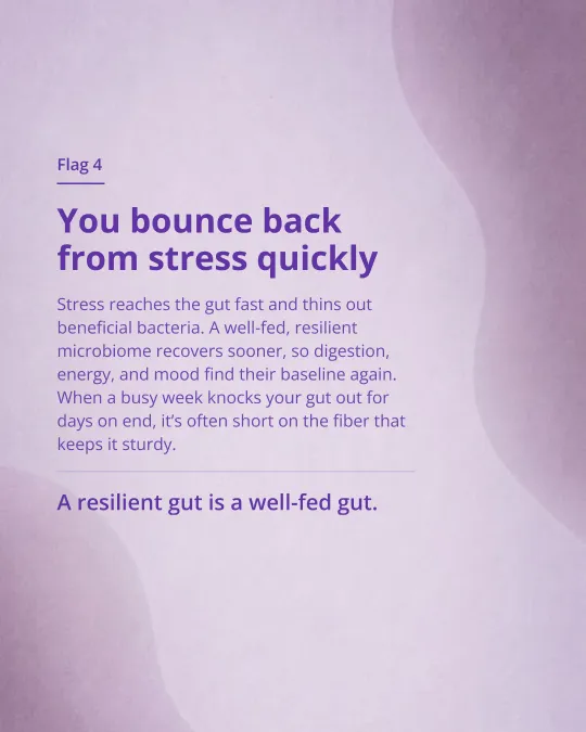 5 green flags your gut is thriving, a six-slide carousel, slide 5
