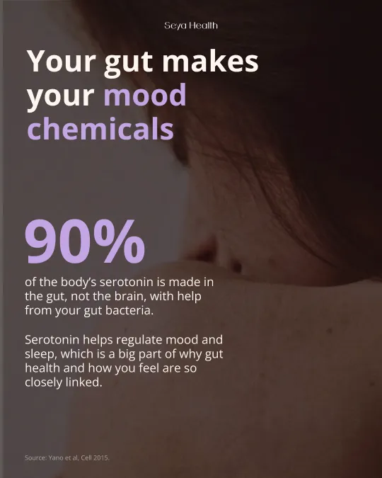 The gut-hormone-brain connection, a five-slide carousel, slide 4